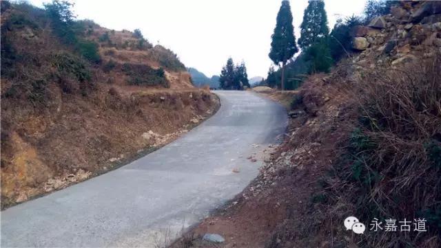 温州吊坦漈古道，瀑飞水奔，奇石林立，箬叶招人，风景奇美