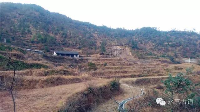 温州吊坦漈古道，瀑飞水奔，奇石林立，箬叶招人，风景奇美