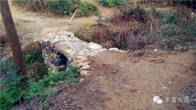 温州吊坦漈古道，瀑飞水奔，奇石林立，箬叶招人，风景奇美