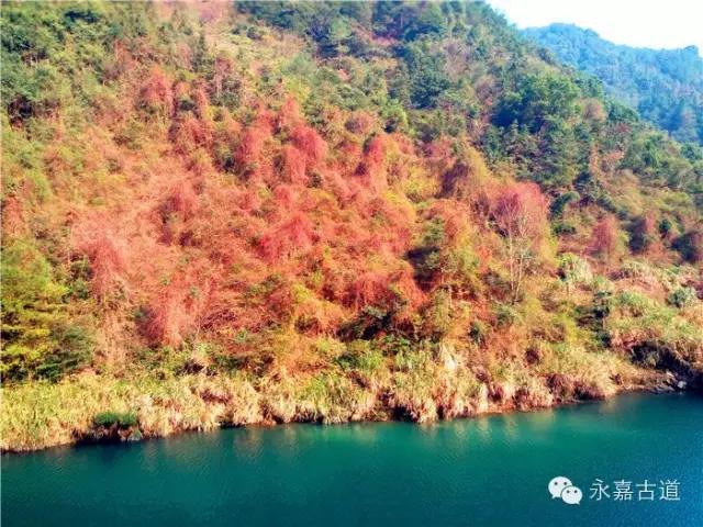 温州吊坦漈古道，瀑飞水奔，奇石林立，箬叶招人，风景奇美