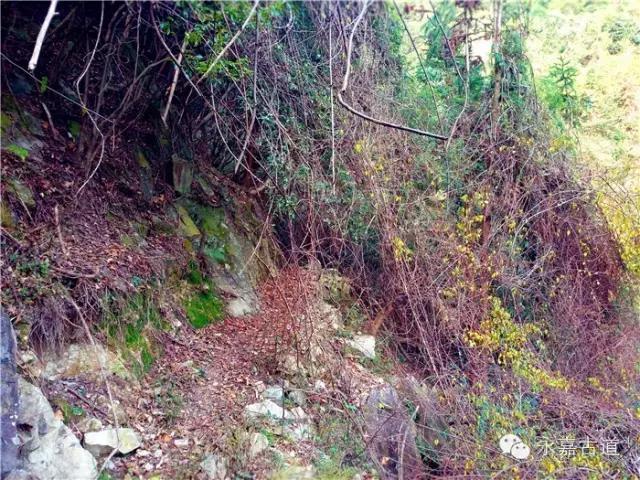 温州吊坦漈古道，瀑飞水奔，奇石林立，箬叶招人，风景奇美