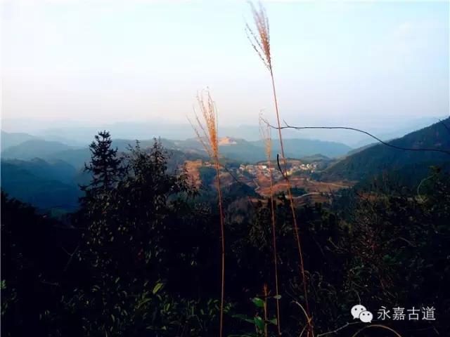 温州吊坦漈古道，瀑飞水奔，奇石林立，箬叶招人，风景奇美