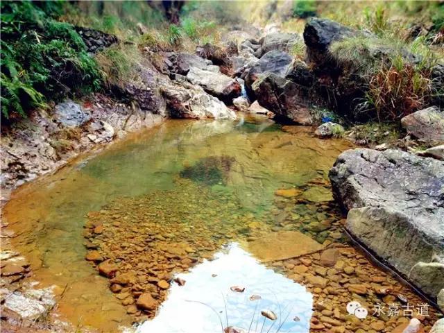 温州吊坦漈古道，瀑飞水奔，奇石林立，箬叶招人，风景奇美