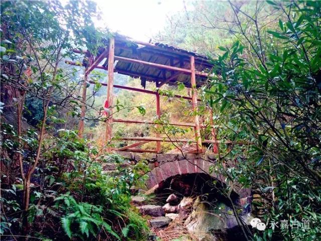 温州吊坦漈古道，瀑飞水奔，奇石林立，箬叶招人，风景奇美