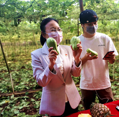 海口市农业农村局局长陈芳上淘宝直播推荐佛手瓜