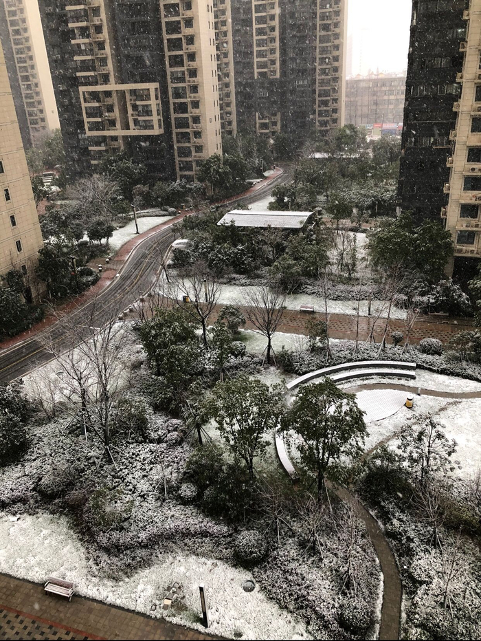 小区绿化不错，但没人下楼。