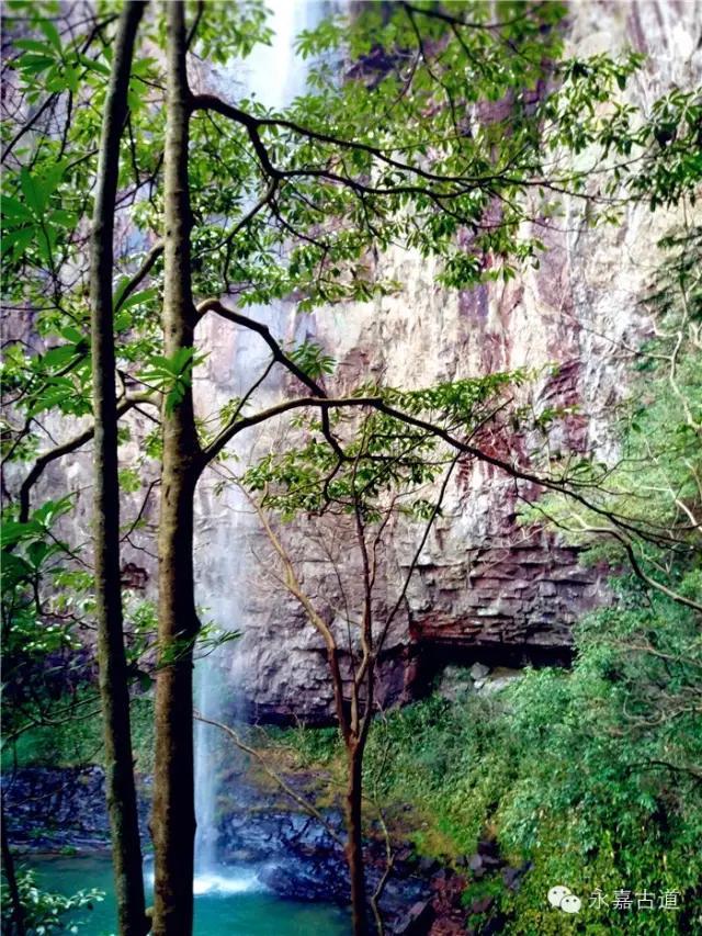 温州吊坦漈古道，瀑飞水奔，奇石林立，箬叶招人，风景奇美