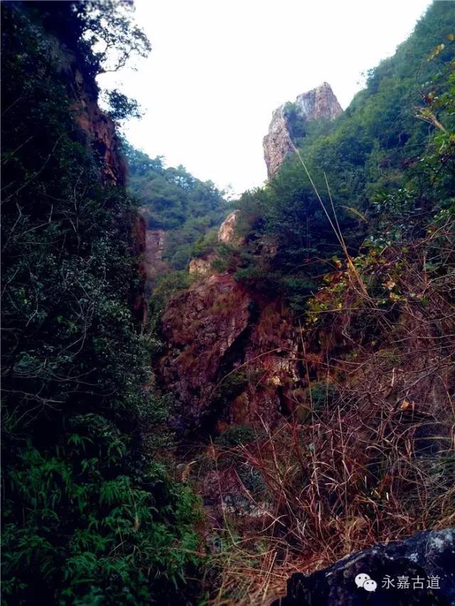 温州吊坦漈古道，瀑飞水奔，奇石林立，箬叶招人，风景奇美