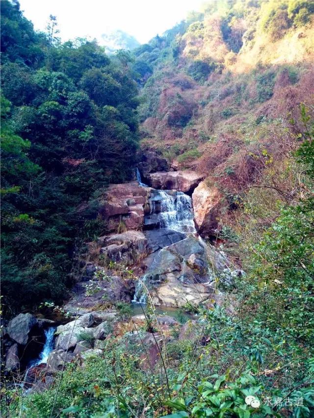 温州吊坦漈古道，瀑飞水奔，奇石林立，箬叶招人，风景奇美