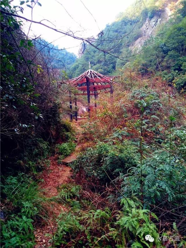 温州吊坦漈古道，瀑飞水奔，奇石林立，箬叶招人，风景奇美