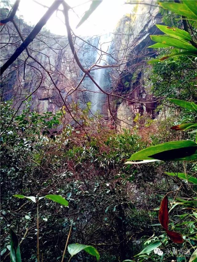 温州吊坦漈古道，瀑飞水奔，奇石林立，箬叶招人，风景奇美