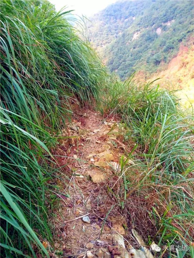 温州吊坦漈古道，瀑飞水奔，奇石林立，箬叶招人，风景奇美