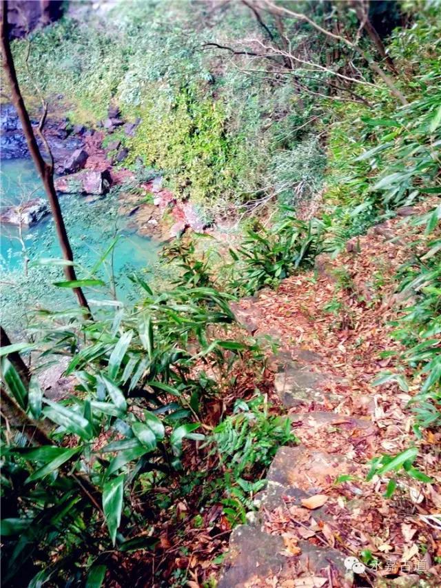 温州吊坦漈古道，瀑飞水奔，奇石林立，箬叶招人，风景奇美