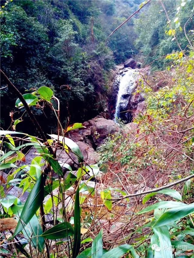 温州吊坦漈古道，瀑飞水奔，奇石林立，箬叶招人，风景奇美