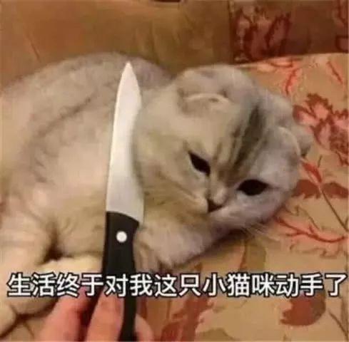 打疫苗长恶性肿瘤害死猫？这针到底还能不能打？