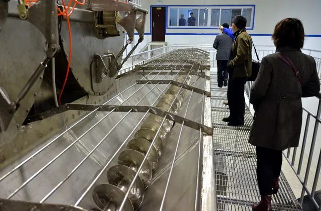 ▲来源：河北某野生动物养殖基地里，水貂、貉子的胴体处理设备。摄影/章轲