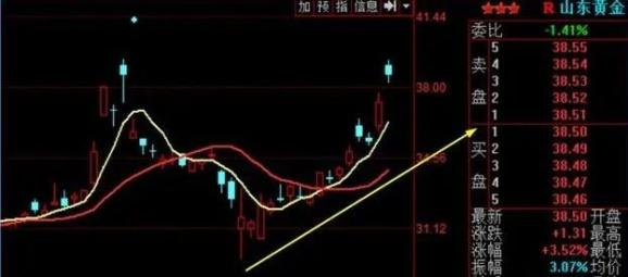 山东黄金近一个月来上涨了20%左右