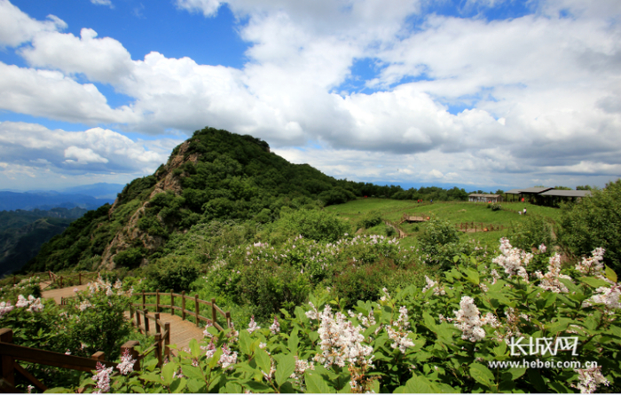 百草畔高山草甸。野三坡景区供图