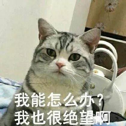 打疫苗长恶性肿瘤害死猫？这针到底还能不能打？