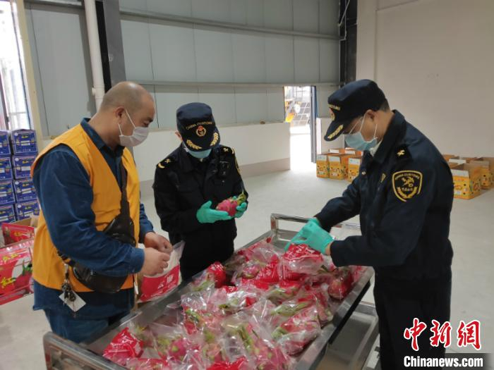 图为海关工作人员对水果进行检验 江泉 摄