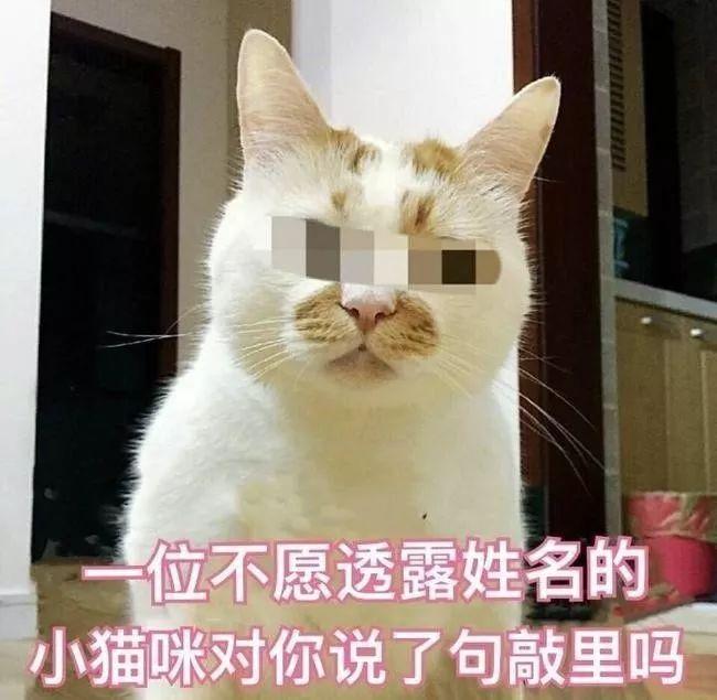 打疫苗长恶性肿瘤害死猫？这针到底还能不能打？