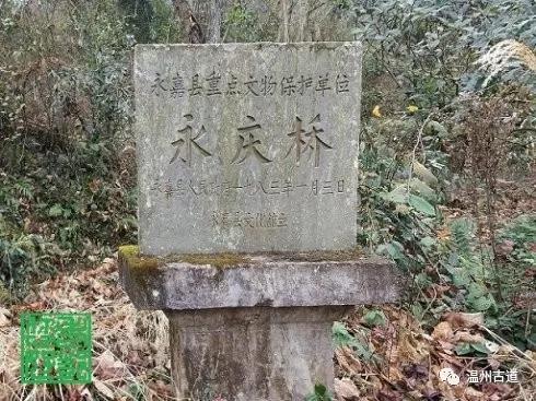 永嘉岩头普安寺旁竟有一座800多年的古桥，你知道吗？