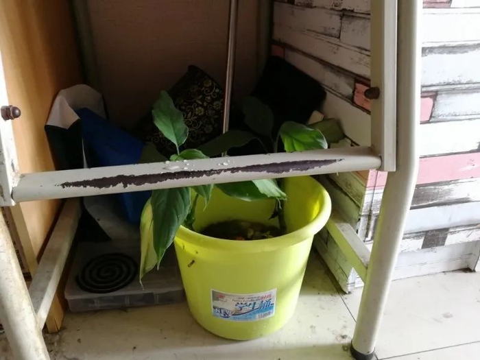 ▲图片来自武汉轻工大学