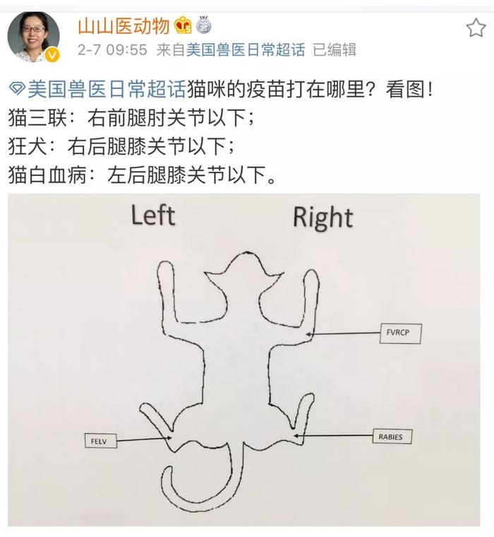 打疫苗长恶性肿瘤害死猫？这针到底还能不能打？