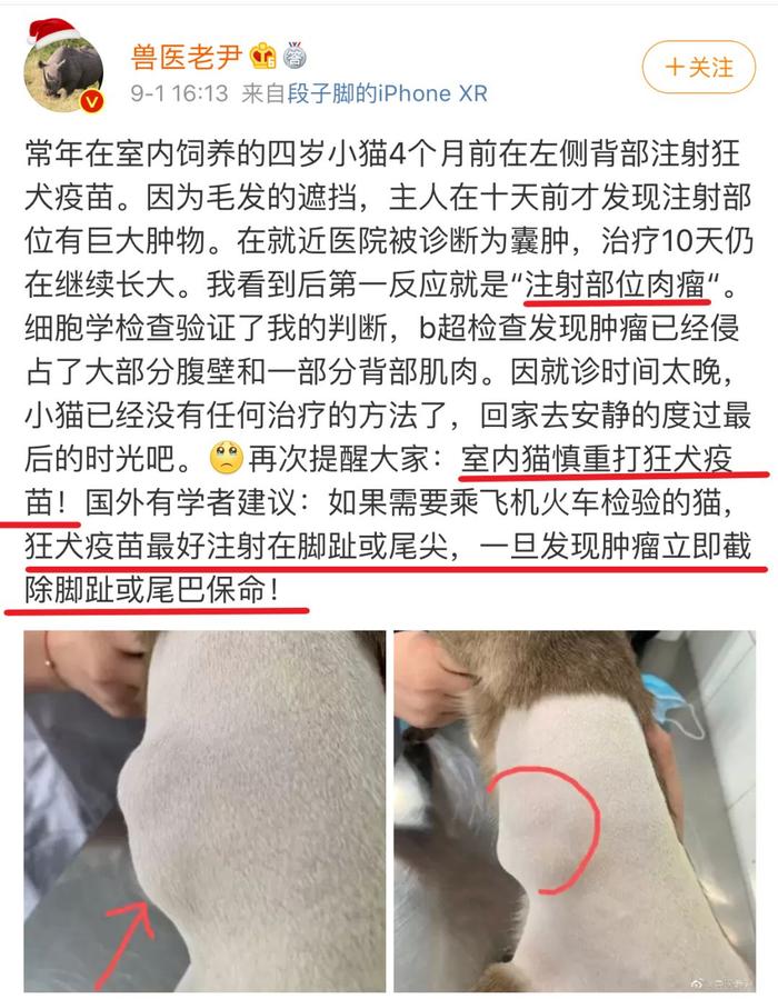 打疫苗长恶性肿瘤害死猫？这针到底还能不能打？