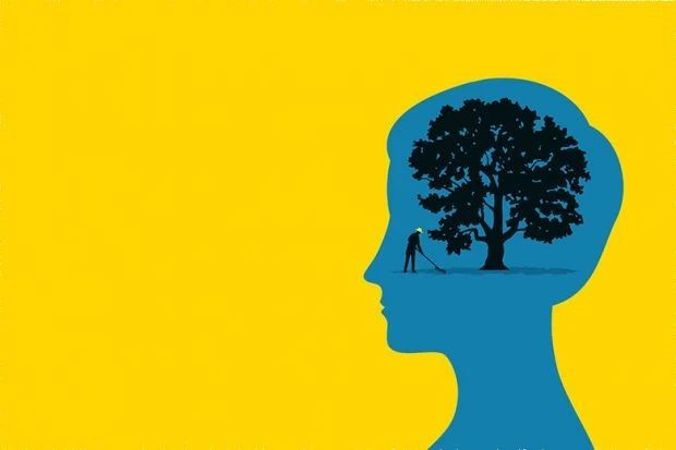 图片来源：timeshighereducation.com