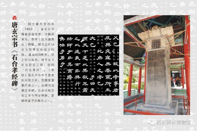 新华·博物馆日报（第236期）：深圳首个自然博物馆要来了