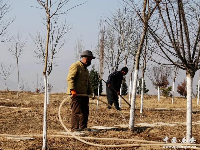 凤山景区积极为苗木进行春季浇水