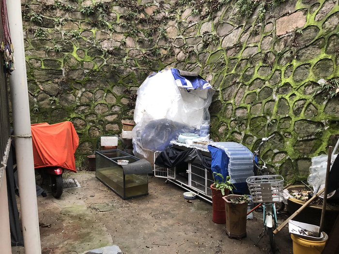 麻继钢家的小院子。澎湃新闻记者 袁杰 图 