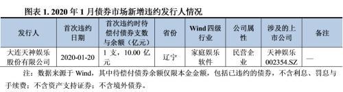 新世纪评级：债券市场违约与信用风险事件报告（2020年1月）