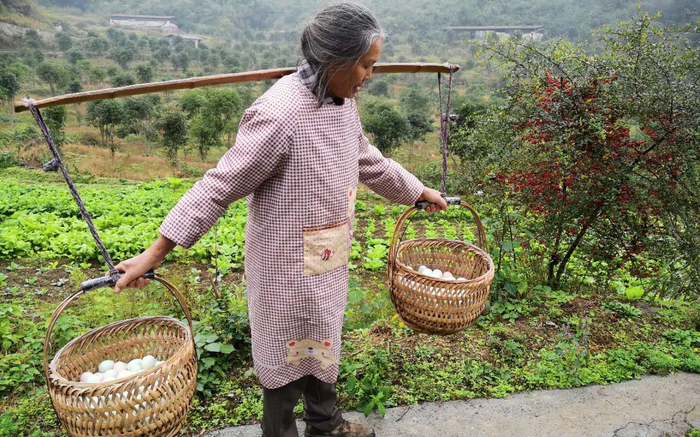 万枚土鸡蛋面临滞销。受访者供图