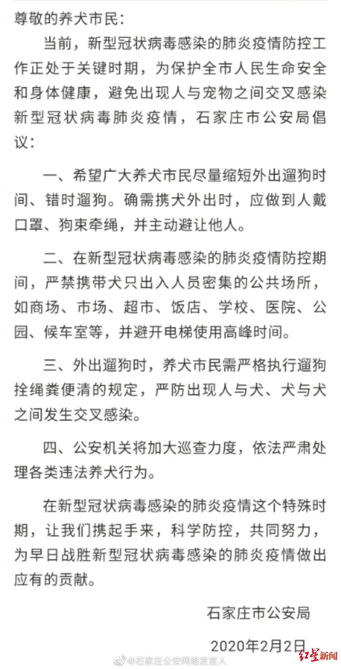 ▲石家庄公安局关于防疫期间溜狗的相关规定。