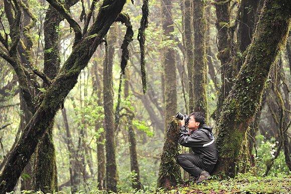 保护生物学学者王放：只是禁食野生动物，长远的生态安全就还不乐观 | 疫时对话系列