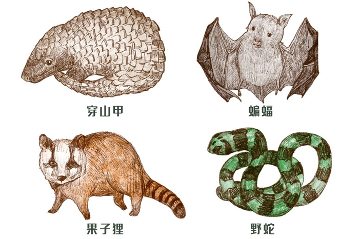 图片来源：摄图网