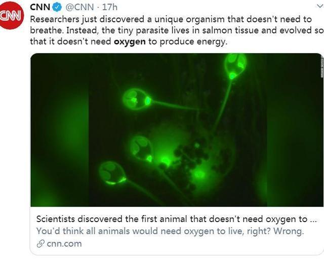 动物的定义将改写？科学家首次发现不靠氧气存活的生物