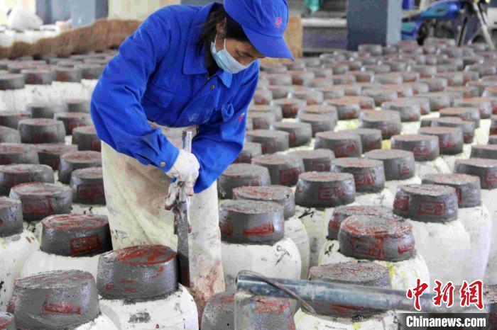酒厂工人忙春榨。绍兴黄酒集团供图