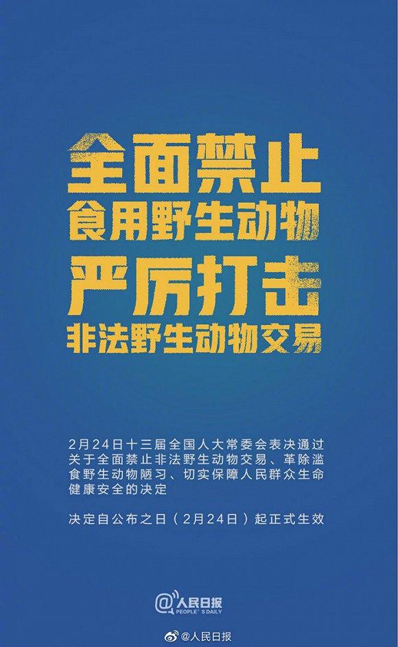 保护生物学学者王放：只是禁食野生动物，长远的生态安全就还不乐观 | 疫时对话系列