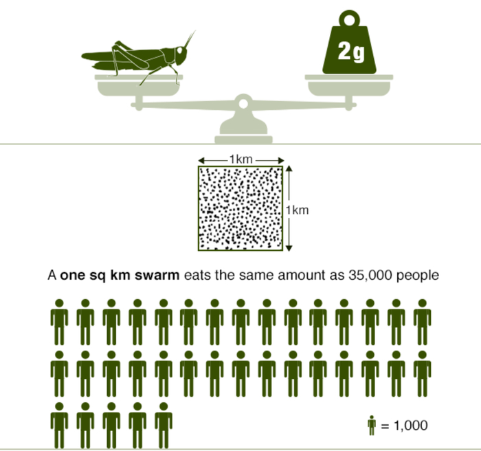 图片来源：bbc.co.uk