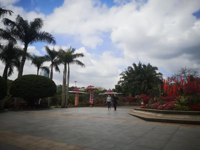 ▲往日游人如织的莲花山公园疫情期间稍显冷清。