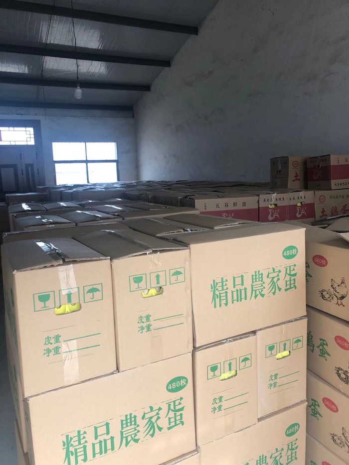 运不出去的鸡蛋 受访者供图