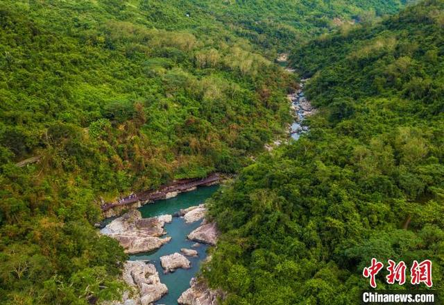 图为海南中部热带雨林  骆云飞摄