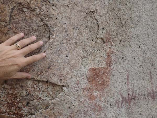 过火后的岩画上依稀可见的火鸡等图像，风吹雨打和火灾使岩画状况让人忧心