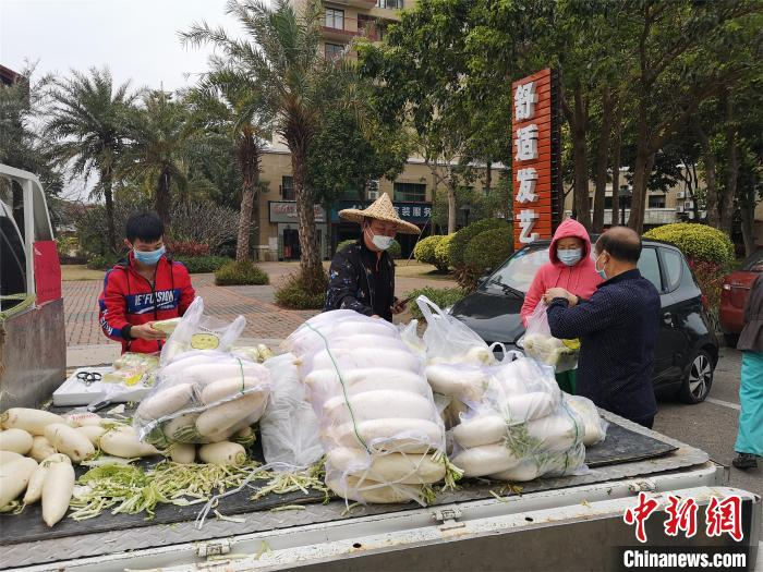 图为“石头哥”向惠城区内各大小区赠送蔬菜 刘曼瑶 摄