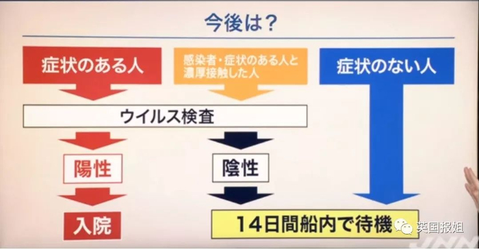 日本邮轮出现肺炎聚集感染！3700人被隔离在“海上监狱”？