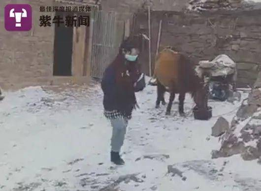 斯朗巴珍出发去雪山上找网