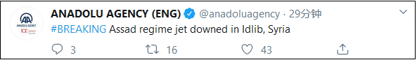 图片来源：阿纳多卢通讯社推特截图